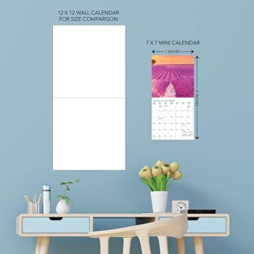 Graphique 2024 Provence Mini Wall Calendar | 7 ”x 7” | Густа хартија | Организатор на домови и канцеларии | Голема месечна решетка | 3 јазици и обележани празници | Страна за преглед на 4 ме?