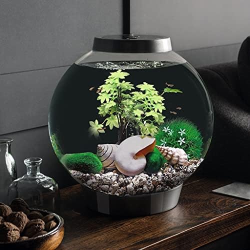 Транспарентен меур цвет тенџере личност креативен резервоар за риби, мал аквариум дома, внатрешна дневна соба канцеларија модна уредување