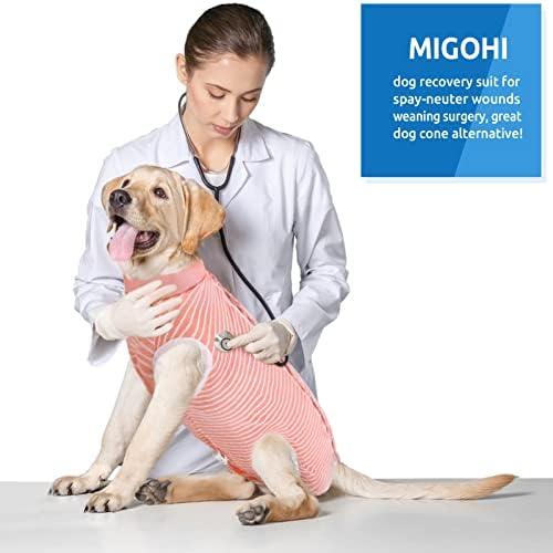 Мигохи Костум За Опоравување За Куче По Операцијата, Хируршко Закрепнување За Хируршка Хирургија За Стерилизација На Миленичиња
