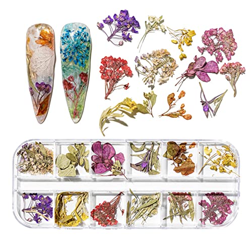 Ноктите на ноктите сушени цвеќиња суви цвеќиња мини цвеќиња за нокти уметнички материјали 3D налепница за декорација на нокти за совети за додатоци