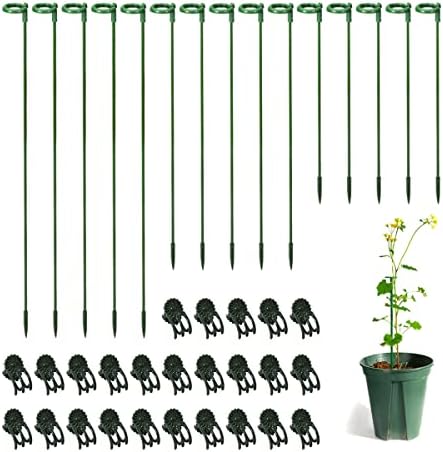 30 компјутери Поддршка за растителни удели со 30 парчиња растителни клипови Градина цветни цвеќиња Поддршка единечен СТЕМ поддршка