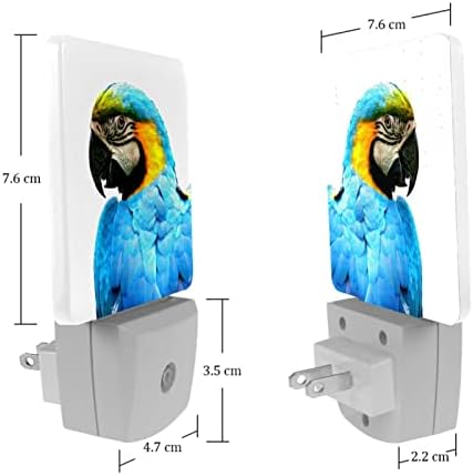 Прекрасна папагала предводена ноќна светлина, детски ноќни светла за приклучок за спална соба во wallидна ноќна ламба прилагодлива осветленост