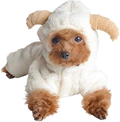 Куче Аофити, симпатична цртан филм овци за зајаци, Ноќта на вештерките Божиќна костум, зимско топло руно мало милениче качулка, кутре ладно време јакна мека удобна ?