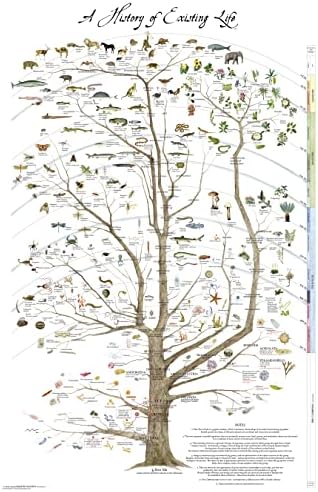 Печатење на постер за дрво Fairhope - Научен постер Природна историја на постојниот живот -24 x 36 ламинат