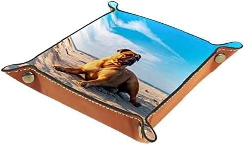 Tacameng Pug Dog Лежејќи песок сино небо, кутии за складирање мали кожни таблички садови за бонбони држач за садови за клуч, телефон, паричка,