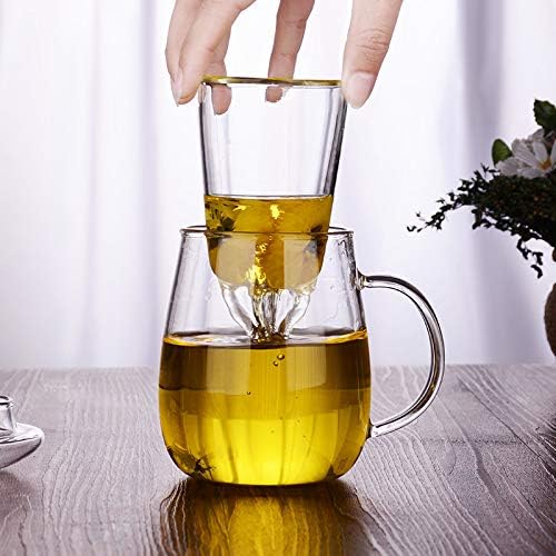 Irse стакло чај инфузер чаша со стаклен чај цедалка и стаклен капак, боросиликатно стакло, издржлив топол пијалок отпорен