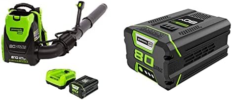 Greenworks Pro 80V безжичен ранец на ранец, батерија од 2,5AH и полнач вклучени BPB80L2510 & Pro 80V 2.0AH литиум-јонска батерија