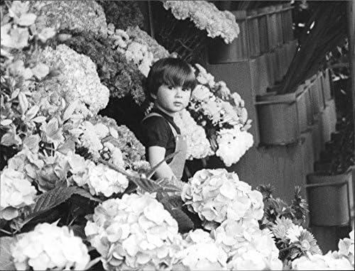 Гроздобер фотографија на синот на Одри Хепберн опкружена со цвеќиња.