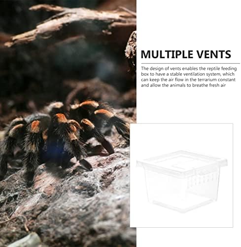 Паткав Стаклени Контејнери Стаклени Контејнери Кутија За Хранење Влекачи Кутија За одгледување Пајаци Кутија За Хранење Пајаци Кутија