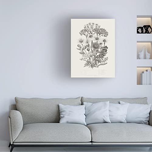 Трговска марка ликовна уметност 'цветни растенија v неутрални' платно уметност од портфолио на диви јаболка 14x19