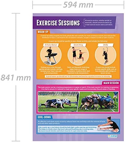 Сесии за вежбање за образование на дневно ниво | PE постери | Ламинирана хартија за сјај со мерење 33 ”x 23,5” | Табели за физичко образование