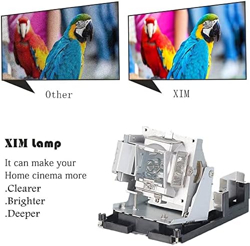 LAMP за замена на XIM BL-FU310B Заменски проектор со куќиште за оптоварување за Optoma EH500 X600 DH1017 DH1014