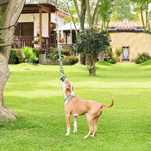 Келбуна Карес пакет 1 - Балм од шепа на кучиња и пролетно јаже за комплет за кучиња. За сите раси и големини