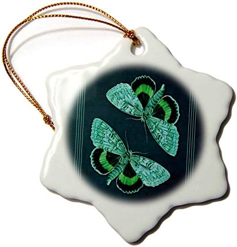 3drose зелени и тиркизни пеперутки на текстурирана позадина на затегнување со. - украси