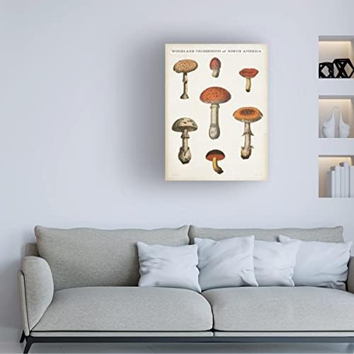 Трговска марка ликовна уметност „Табела за печурки III светло“ Арт од платно од портфолио на диви јаболка 24х32