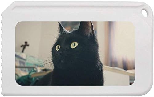 Азеда „црна мачка“ пластична мраз стругалка
