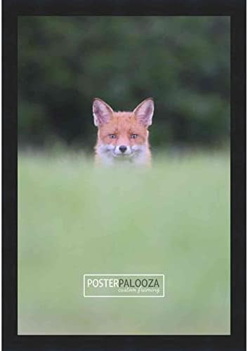 Постер Палооза 6x10 Современа црна комплетна рамка за слика на дрво со УВ акрилик, поддршка од табла за пена и хардвер