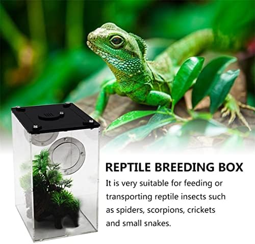 Лепсјгц Кутија За Хранење Влекачи Транспарентна Пластична Кутија Панорама Од Инсекти Кутија За Размножување Инсекти Змија Пајак Гуштер Терариум