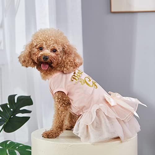 Куче чипка златен сјај фустан принцеза Туту здолниште за мали и средни девојки кучиња миленичиња роденденски свадбени невестата фотографија