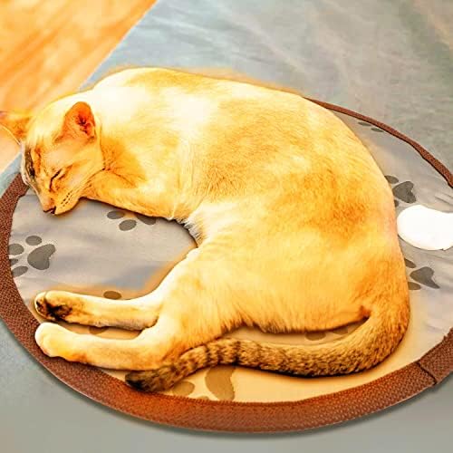 Подлога за греење на мачки Анцервин, мала загреана кревет со мачки, тајмер за автоматско исклучување, загреан кревет за мачки прилагодлив