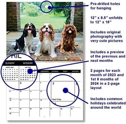 2023 Календар На Кралот Кавалер Чарлс Спаниел - Прави Одличен Подарок За Кралот Кавалер Чарлс Спаниел-Календар За Кучиња