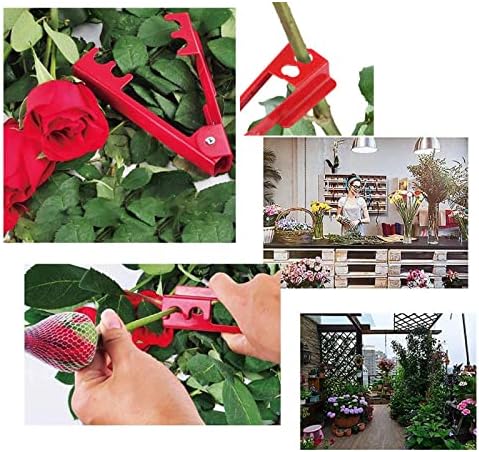 Трн Стриптизета Метал Цвет Матични Машина Роза Градинарство Алатки За Лист И Цвет