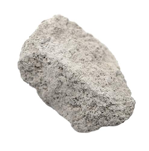 12pk олитски варовник, седиментни примероци на карпи - приближно. 1 - Избран геолог и рачно обработено - одлично за научни училници