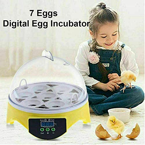 Инкубатор за јајца, Инкубатори за Ведење Јајца Со Контрола На Температурата, Инкубатор За Општа Намена Дигитален Чист Инкубатор