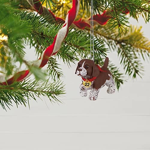 Hallmark Keepsake Christmas Ornament 2022 Годишен датум, кученце Loveубов германски покажувач на Шортаир