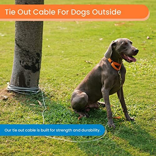 Iunpvet кабел се врзува за кучиња, 15/30ft џвака доказ за кучиња за двор, кампување, парк, надвор, совршен за големи или мали кучиња