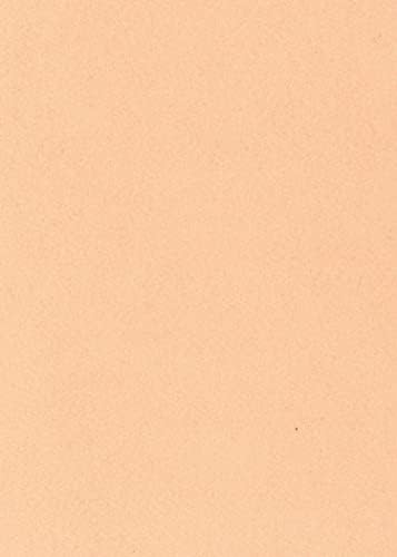 Руменило Пастелно Портокалово-Розово-Волна Филц Преголем Лист-20% Мешавина Од Волна - 1 Секој Лист од 12х18 инчи