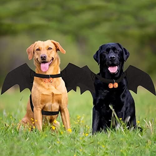 Bowtus Ноќта на вештерките кучиња крилја миленичиња костим со тиква bellвона за украси за забави за Ноќта на вештерките, симпатично кученце куче и мачки јака лилјаци кр?