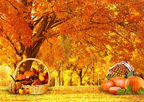 Lb 7x5ft есенски шумски пејзаж фотографија позадина Денот на благодарноста тиква жетва есен дрво жолто лисја сценографија позадина