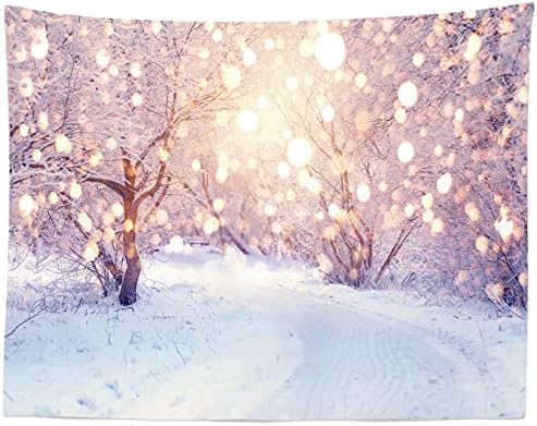 Корфото ткаенина 9x6ft Зимска позадина Тема фотографија сонувачки светла сјае сноу -пловидба Боке -земја на чудата сцена невестинска