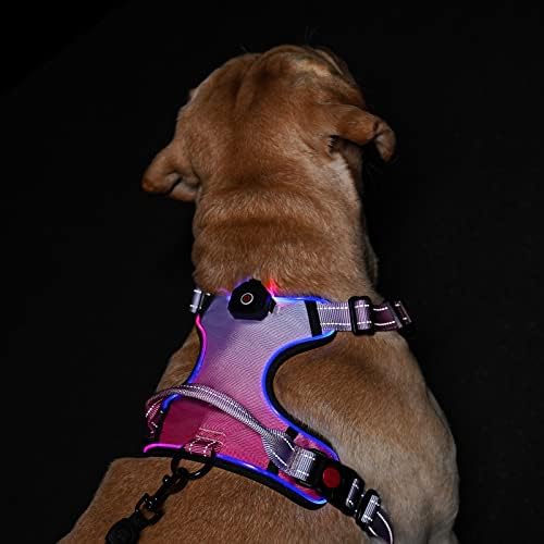 LED Осветлување Куче Темперамент: USB Полнење Блескав Водоотпорен Рефлектирачки Без Повлекување Прилагодливи Оксфорд Елек Со Лесна