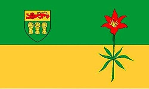 3x5 Саскачеван Канада знаме Канадска провинција Банер пенант затворен на отворено нови