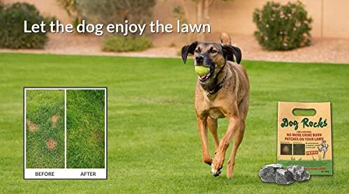 Карпи за кучиња - превентер за урина за лепенка / природна кучиња урина неутрализатор за чинии во вода, поправка на трева, поправка