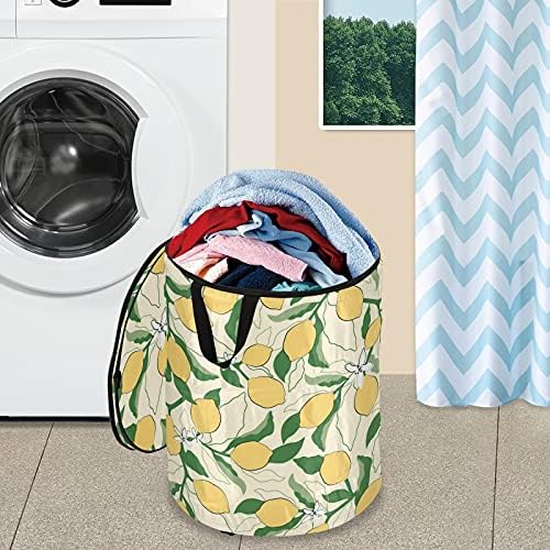 Цветни разнобојни лимони се појавуваат со алишта за алишта со капакот за складирање на капакот, склопувачка торба за перење за патувања