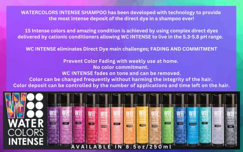 Акварели Интензивна Боја Депонирање Сулфат Слободен Шампон, Одржува &засилувач; Ја Подобрува Бојата На Косата