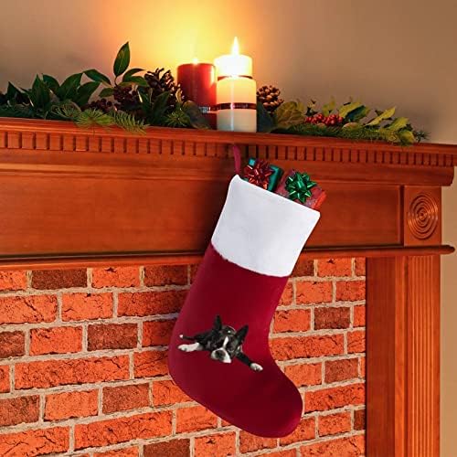Бостон Териер куче Божиќно порибување чорапи со кадифен камин што виси за декор за домашно дрво