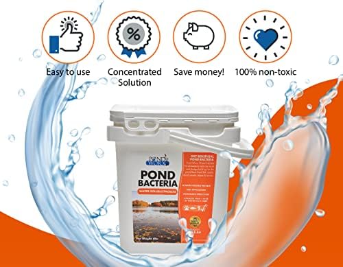 Пакети за бактерии на езерцето Pondworx - 6 bs - чисти вода и отстранува мириси, лесни за употреба на природни пакети за бактерии,