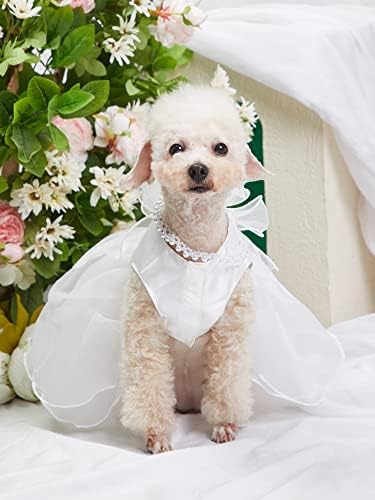 Qwinee bowknot декор кучиња фустани контраст мрежи маче кученце принцеза фустан мало средно кучиња маче здолниште костум костум бела l