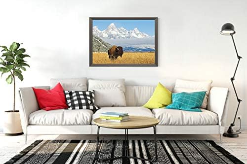DIY 5D сликарство за нумерирање на диви животни бизон пред гранд тетон планински опсег трева преден план 12 x 16 возрасен ринстон
