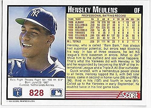 Резултат од 1991 година 828 Хенсли Меуленс