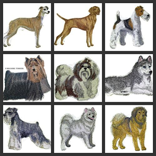 Неверојатни портрети за кучиња [Whippet] Везено железо на/шие лепенка [5 x 4] направено во САД]
