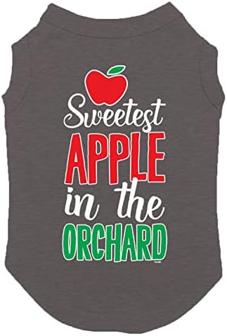 Најслатко јаболко во овоштарник - слатка кошула за кучиња