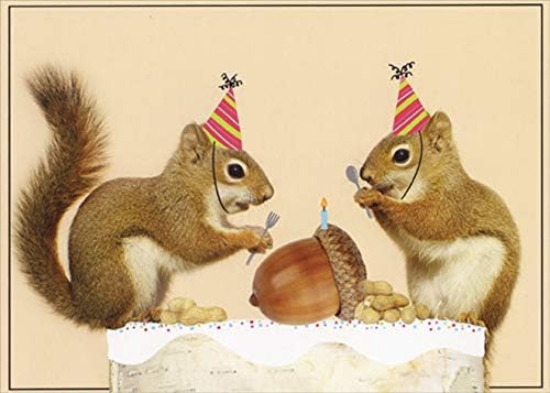 Дизајнер честитки верверички со роденденска свеќа на Acorn Смешна/хумористична картичка за роденден