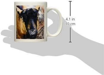 3DROSE MUG_156345_1 OBERHASLI коза керамичка кригла, 11-унца