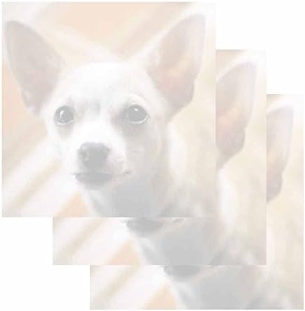 Лепливи белешки за кучиња Чихуахуа - сет од 3 - Дизајн на теми на животни - подарок за канцелариски материјал - Подлога за меморија