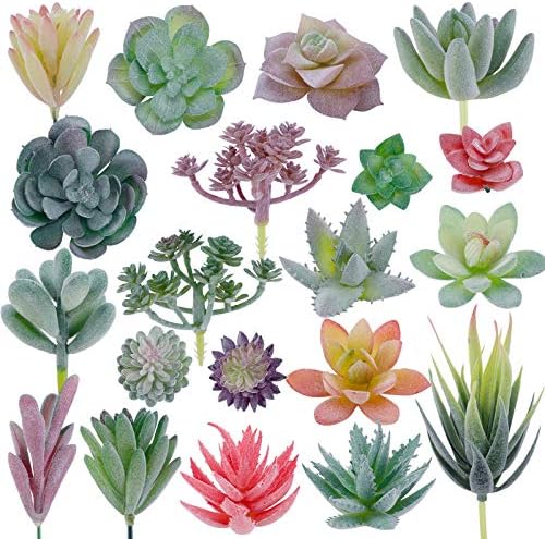 CEWOR 20 парчиња Вештачки Собрани Сукуленти Мини Лажни Сочни Растенија Вештачки Премиум Декор ЗА Изработка На САМИ Дома Цветен Ѕид